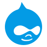 hire drupal developer india